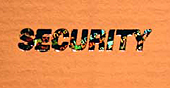 Security-hot1